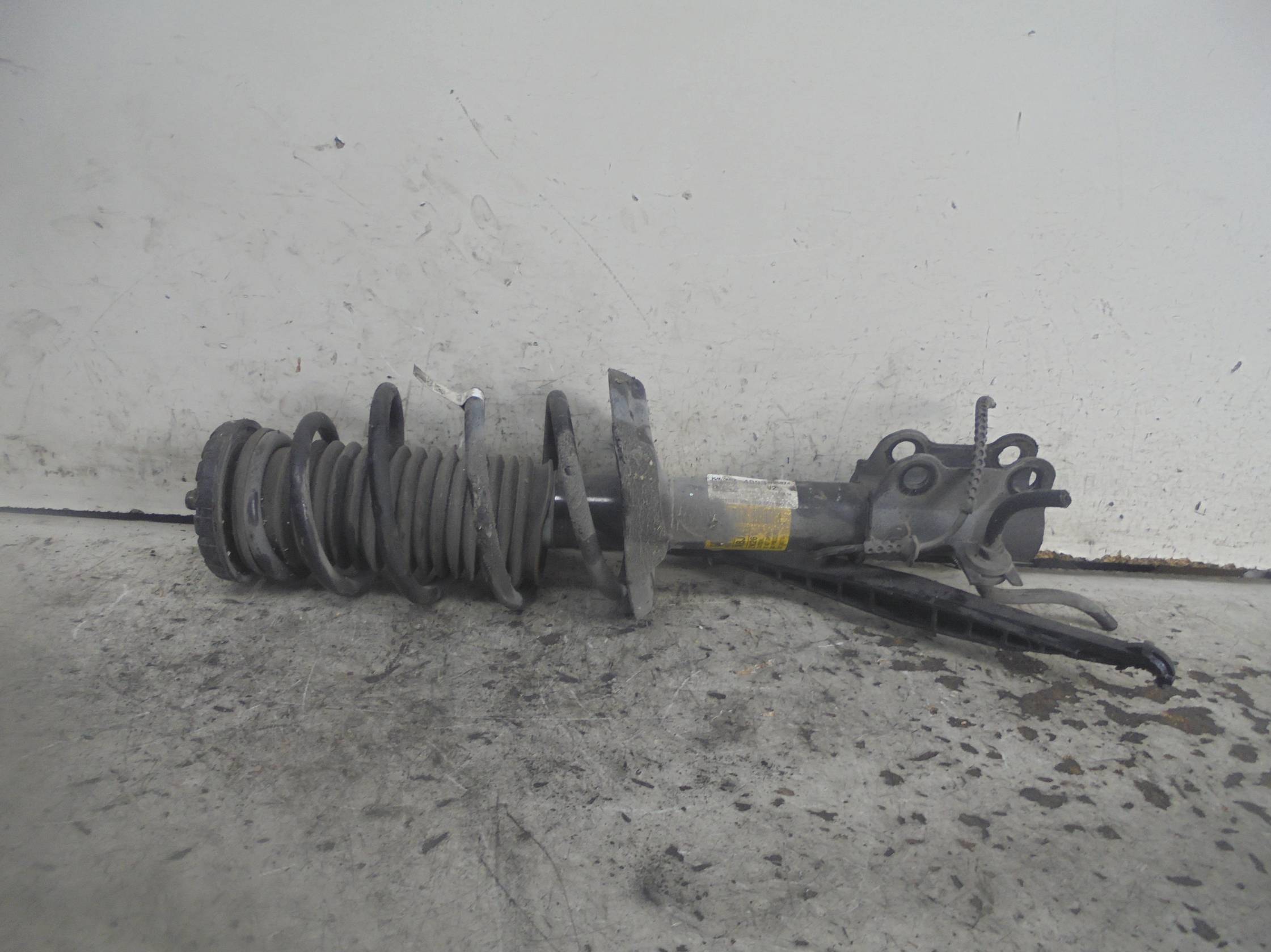 Ammortizzatore ant. sx.